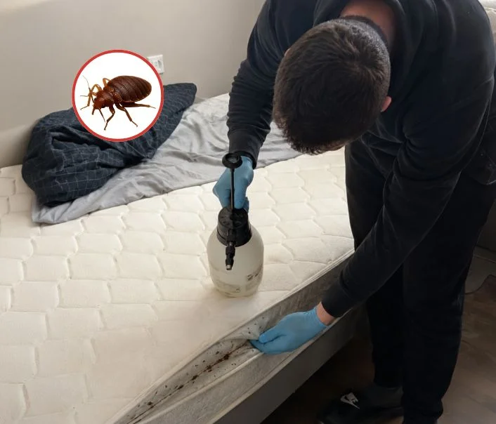 Technicien traitant un matelas contre les punaises de lit à Aubervilliers